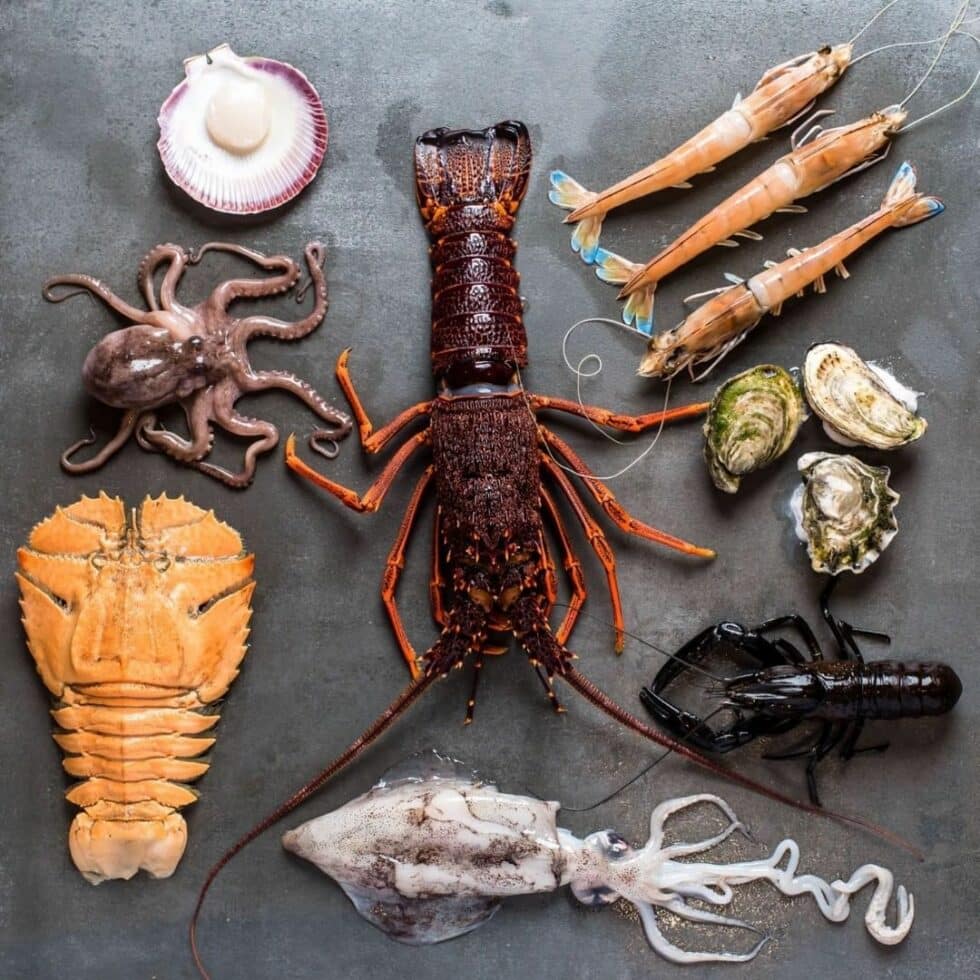 Fair Seafood Adelaide Central Market The City of Adelaide's premier food destination. Over 70